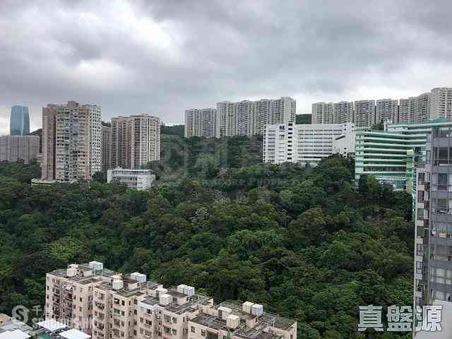 北角 - 晓峰 01