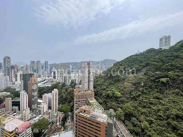 東半山 - 竹林苑 02
