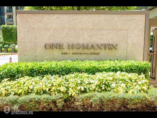 Ho Man Tin - One Homantin 12