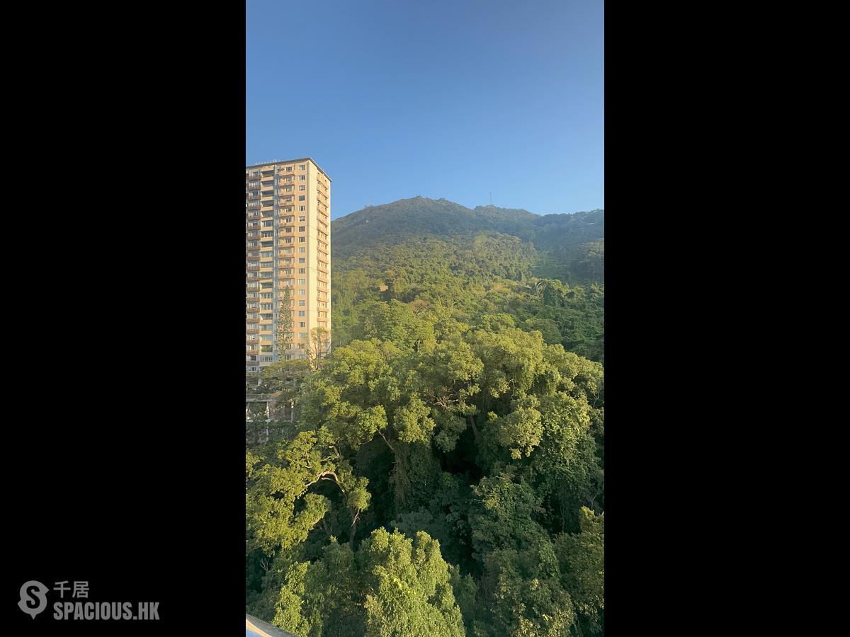 西半山 - 杏彤苑 01