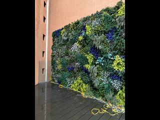 Repulse Bay - Belleview Place 15