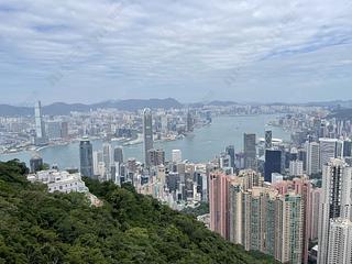 The Peak - Peak Gardens 10