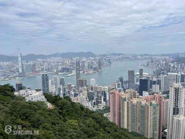 The Peak - Peak Gardens 10
