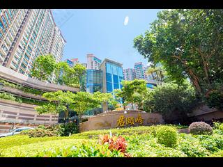 Yau Ma Tei - Parc Palais 13