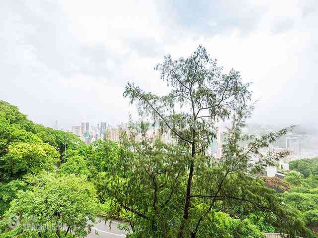司徒拔道 - 宝璧大厦 02