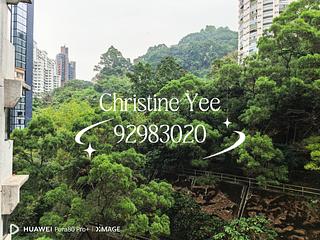 Tai Hang - Dragon Centre 03