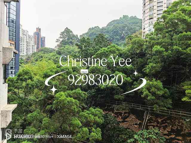 Tai Hang - Dragon Centre 03