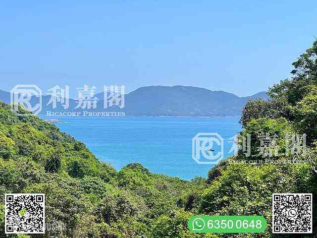清水湾 - 清水湾村屋 22
