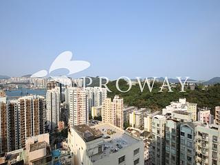 Shau Kei Wan - Lime Gala 02
