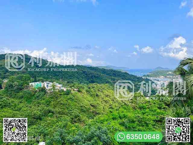 西贡 - 庆径石村 27