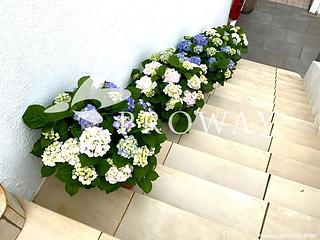 清水灣 - 華富花園 12
