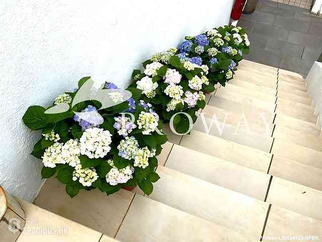 Clear Water Bay - Fullway Garden 12