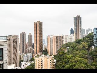Mid Levels West - Altamira 04