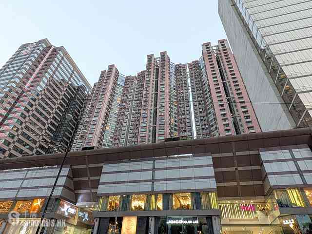 北角 - 港运城 16