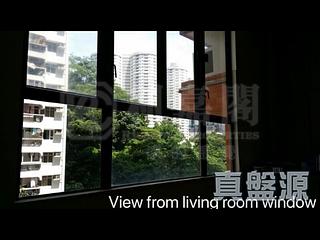 天后 - 龍心閣 14