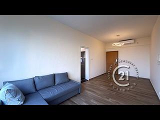 Discovery Bay - Discovery Bay Phase 10 Neo Horizon 04