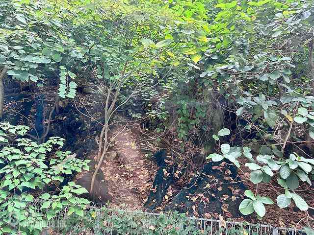Tin Hau - Dragon Court 01