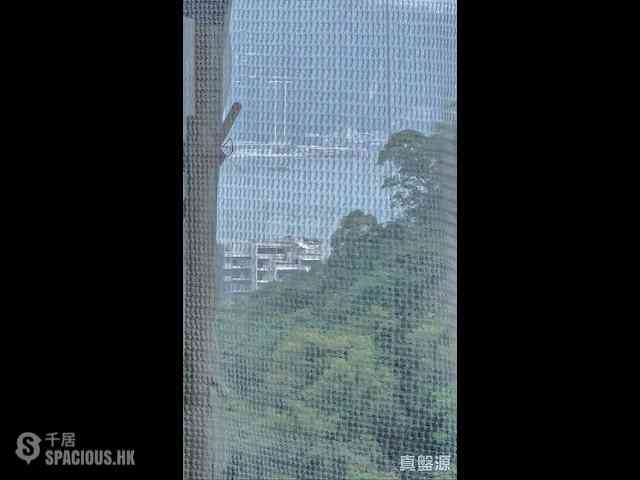 宝马山 - 天宝大厦 02
