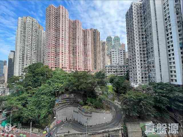 炮台山 - 101 Kings Road 09