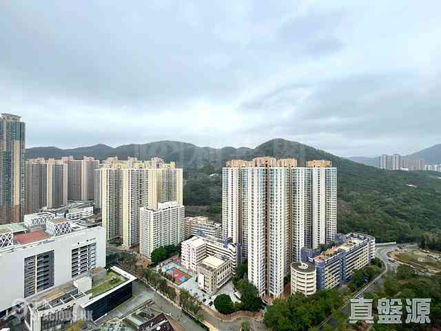 Tseung Kwan O - Park Central 01