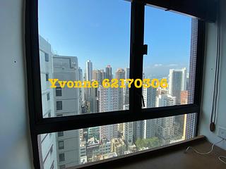 Poho - Rich View Terrace 06
