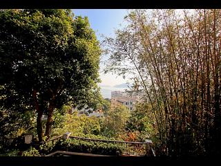 Mui Wo - Fu Kong Shan Road 17