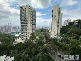 Jardines Lookout - Cavendish Heights 05