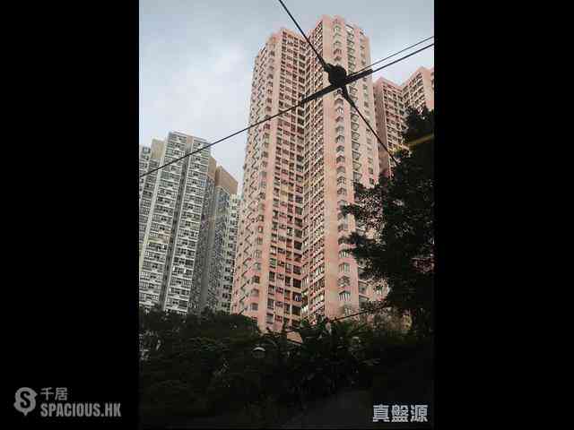 炮台山 - 富泽花园 富邦阁 01