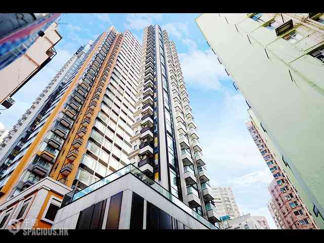Tai Hang - Coho 02