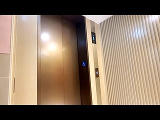 Tai Hang - Coho 20