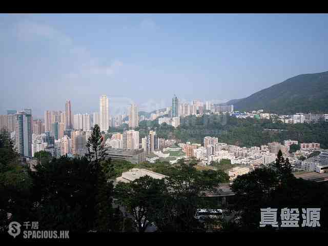 司徒拔道 - 怡园 01