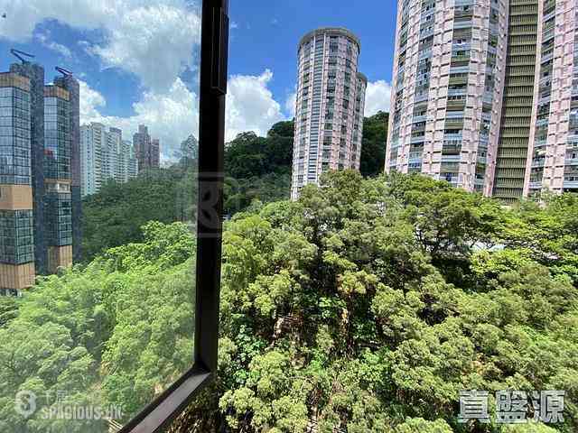 Tai Hang - Dragon Centre 01