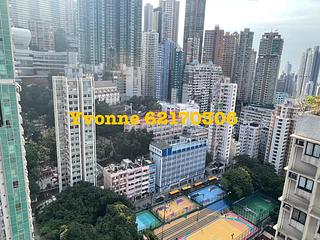 Poho - Rich View Terrace 06