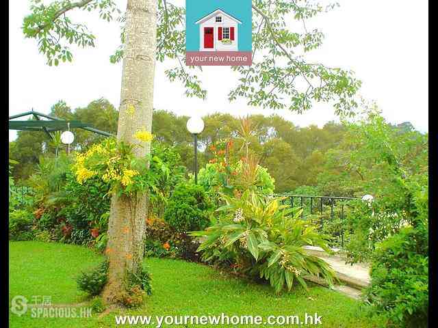 Sai Kung - Forest Hill Villa 23