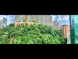 跑馬地 - 南珍閣 02