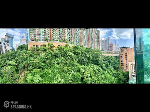 跑馬地 - 南珍閣 02