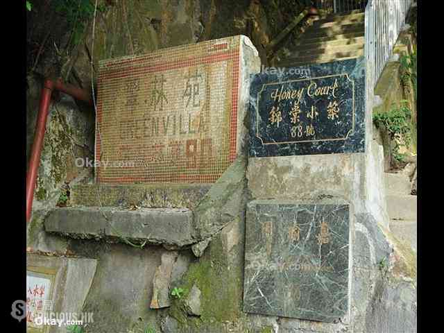薄扶林 - 嘉瑜园 23
