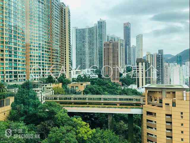 跑马地 - 南珍阁 03