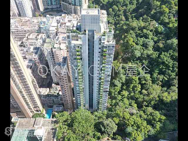 North Point - Lime Habitat 21