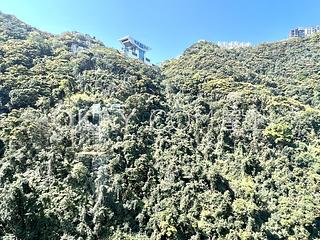 中半山 - 腾皇居 11