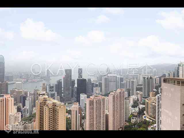 中半山 - 地利根德閣3座 04