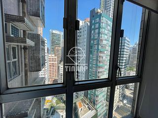 Sai Ying Pun - Macro Garden 06