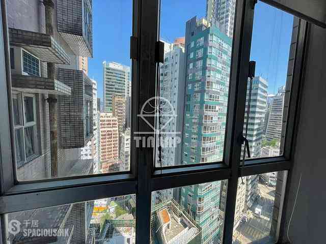 Sai Ying Pun - Macro Garden 06