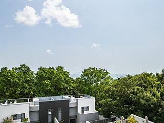 South Lantau - Michelia 15