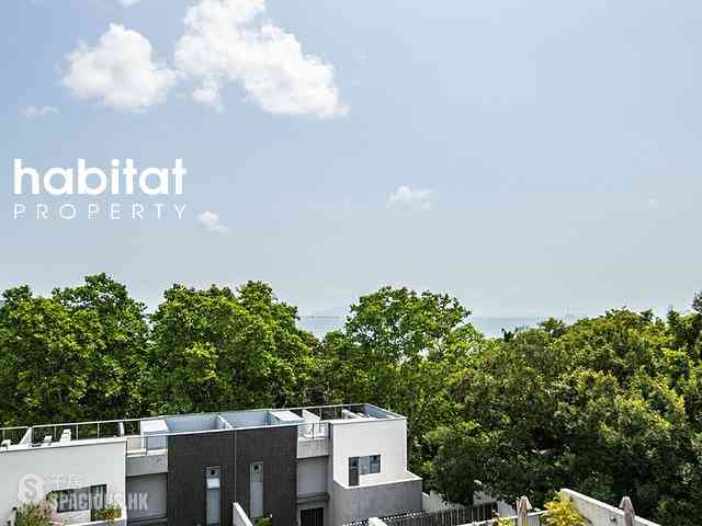 South Lantau - Michelia 15