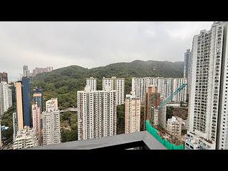 Tai Hang - Warrenwoods 04