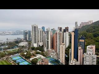 Tai Hang - Warrenwoods 09