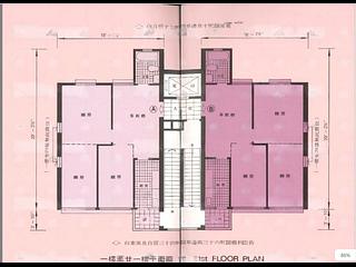 Wan Chai - Wai Cheong Building 10