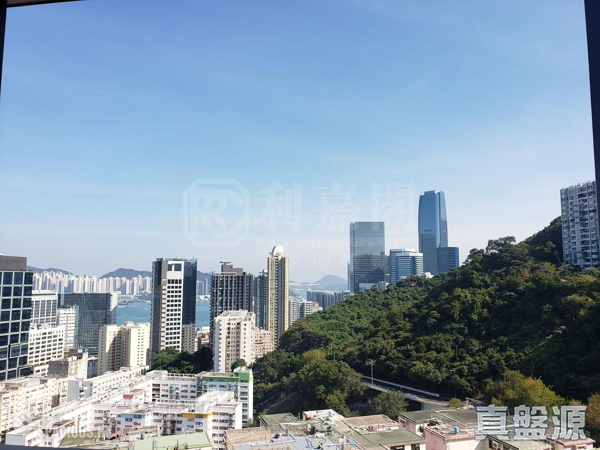 北角 - 柏蔚山 01