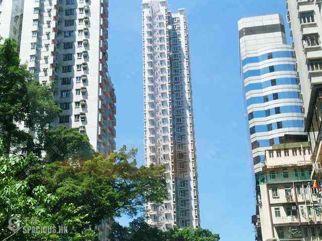 Kennedy Town - Ivy On Belcher's 06